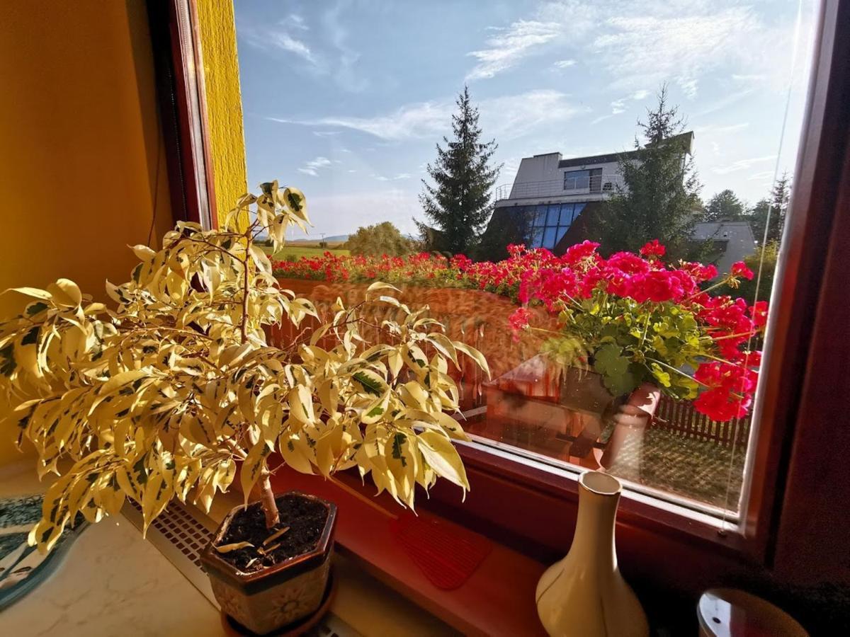 Apartman Adrianka Turčianske Teplice エクステリア 写真